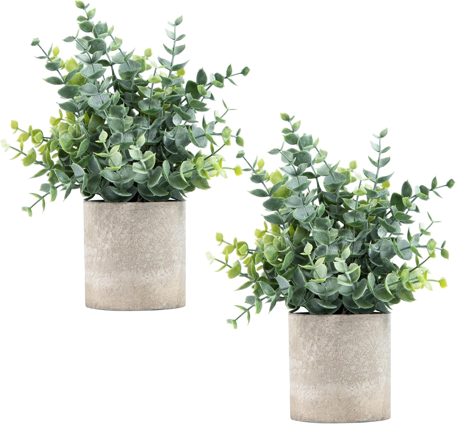 Set of two artificial eucalyptus plants in modern stone pots for home decor and greenery