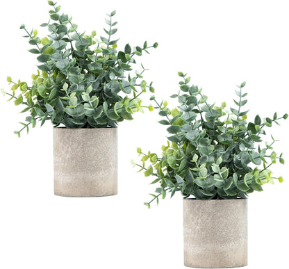 Set of two artificial eucalyptus plants in modern stone pots for home decor and greenery
