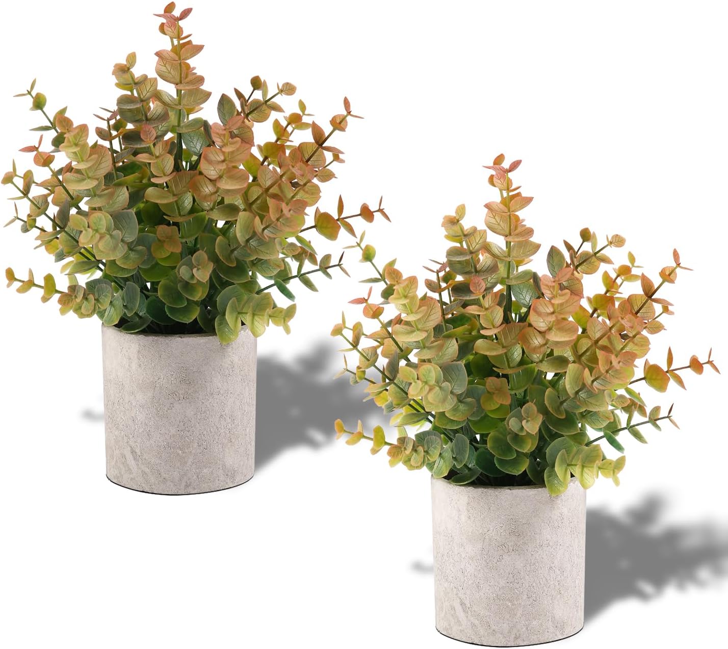 Set of two artificial eucalyptus plants in modern concrete pots for home decor