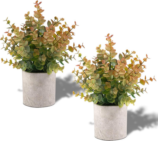 Set of two artificial eucalyptus plants in modern concrete pots for home decor